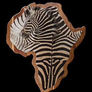 Zebra 3D Taxidermy Mount