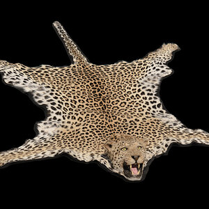 Leopard Skin Rug