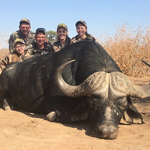 Bowhunting Buffalo South Africa