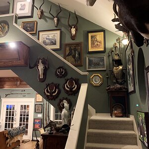 Trophy Room