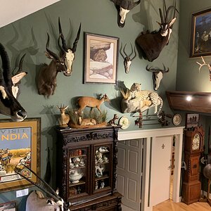 Trophy Room