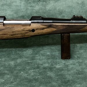 CZ in 375 Rifle