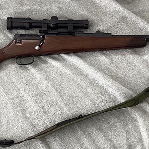 Mauser 66 In 416 Ruger Rifle