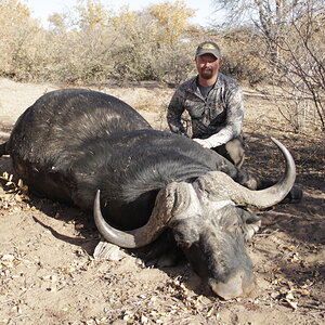 Bow Hunting Buffalo South Africa