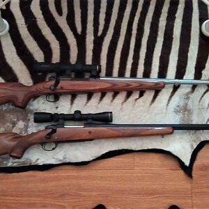 .450 Marlin Rifle