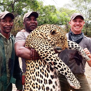 Hunting Leopard Tanzania