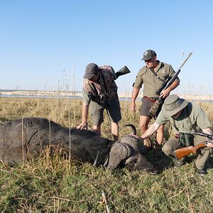 Buffalo Hunt Namibia