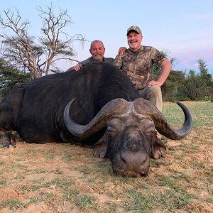 Buffalo Hunting South Africa