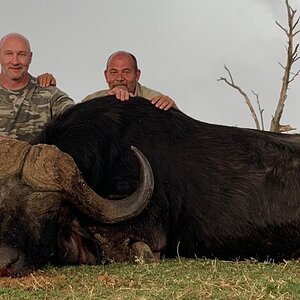 Buffalo Hunting South Africa