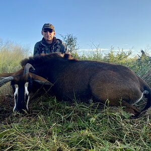 Unusual Sable Trophy Hunt