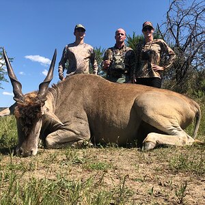 Eland Hunting South Africa