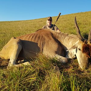 Eland Hunting South Africa