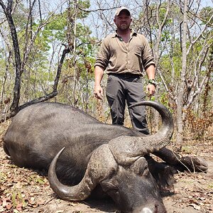 Buffalo Hunt Tanzania