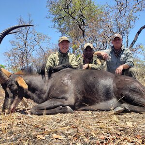 Sable Hunting