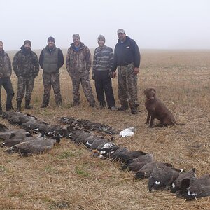 Waterfowl Hunting