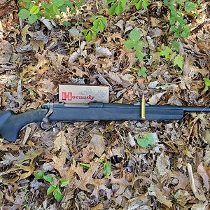 .375 Ruger Alaskan Rifle