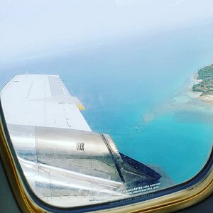 Wildlife View From Airplane