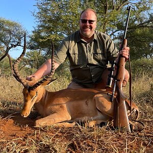 Impala Hunt Limpopo South Africa