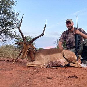 Impala Hunt Limpopo South Africa