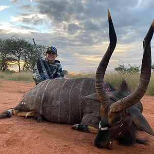 Nyala Hunt South Africa