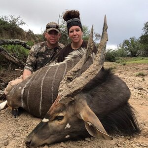 Nyala Hunting South Africa