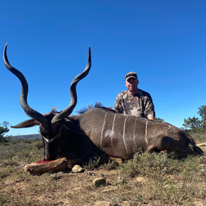 Kudu Hunting South Africa