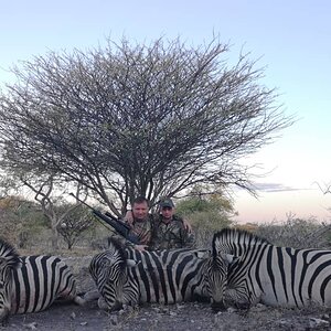 Zebra Hunting Botswana