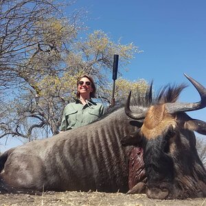 Blue Wildebeest Hunting Botswana