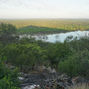 Limpopo Nature South Africa