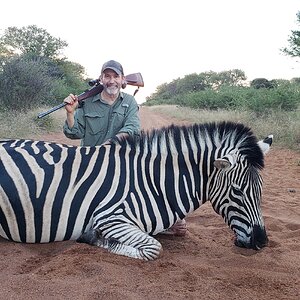 Zebra Hunt Limpopo South Africa