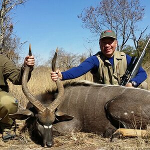 Nyala Hunting South Africa