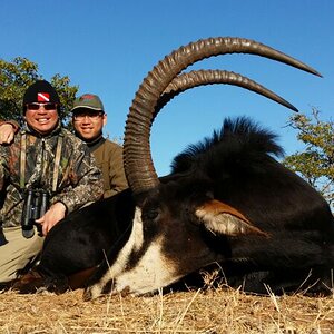 Sable Hunting South Africa