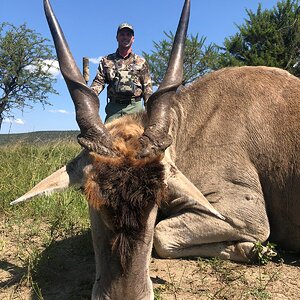 Eland Hunting South Africa