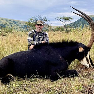 Sable Hunting South Africa