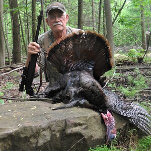 Turkey Hunting