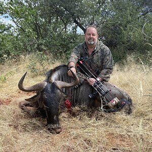 Blue Wildebeest Bow Hunting