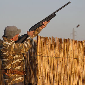 Wild Bird Hunting In South Africa