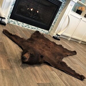 Black Bear Rug