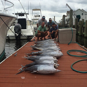 Offshore Fishing