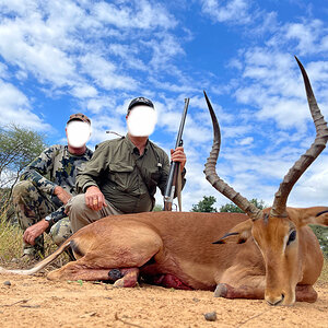 Impala Hunt Zimbabwe