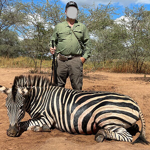 Zebra Hunt Zimbabwe