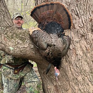 Turkey Hunt Iowa