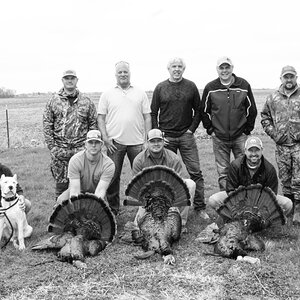 Turkey Hunt Iowa