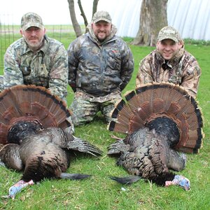 Turkey Hunt Iowa