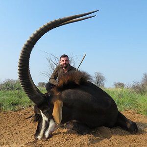 Sable Hunting South Africa