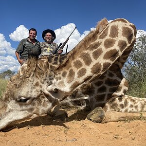 Giraffe Hunting