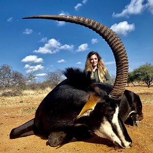 44 Inch Sable Hunt