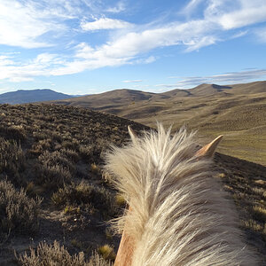 Andes Mountains Nature