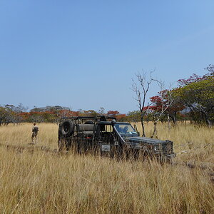 Tanzania Nature