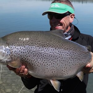 Otago Trout New Zealand